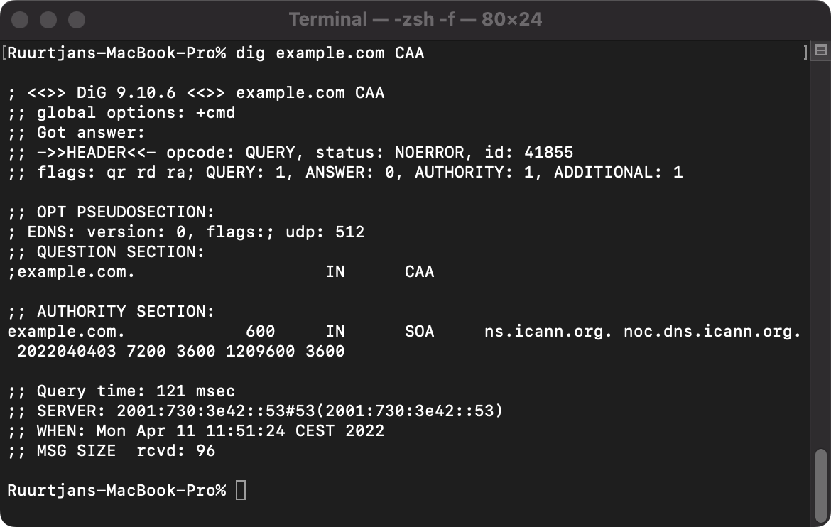 Example output of a CAA lookup query